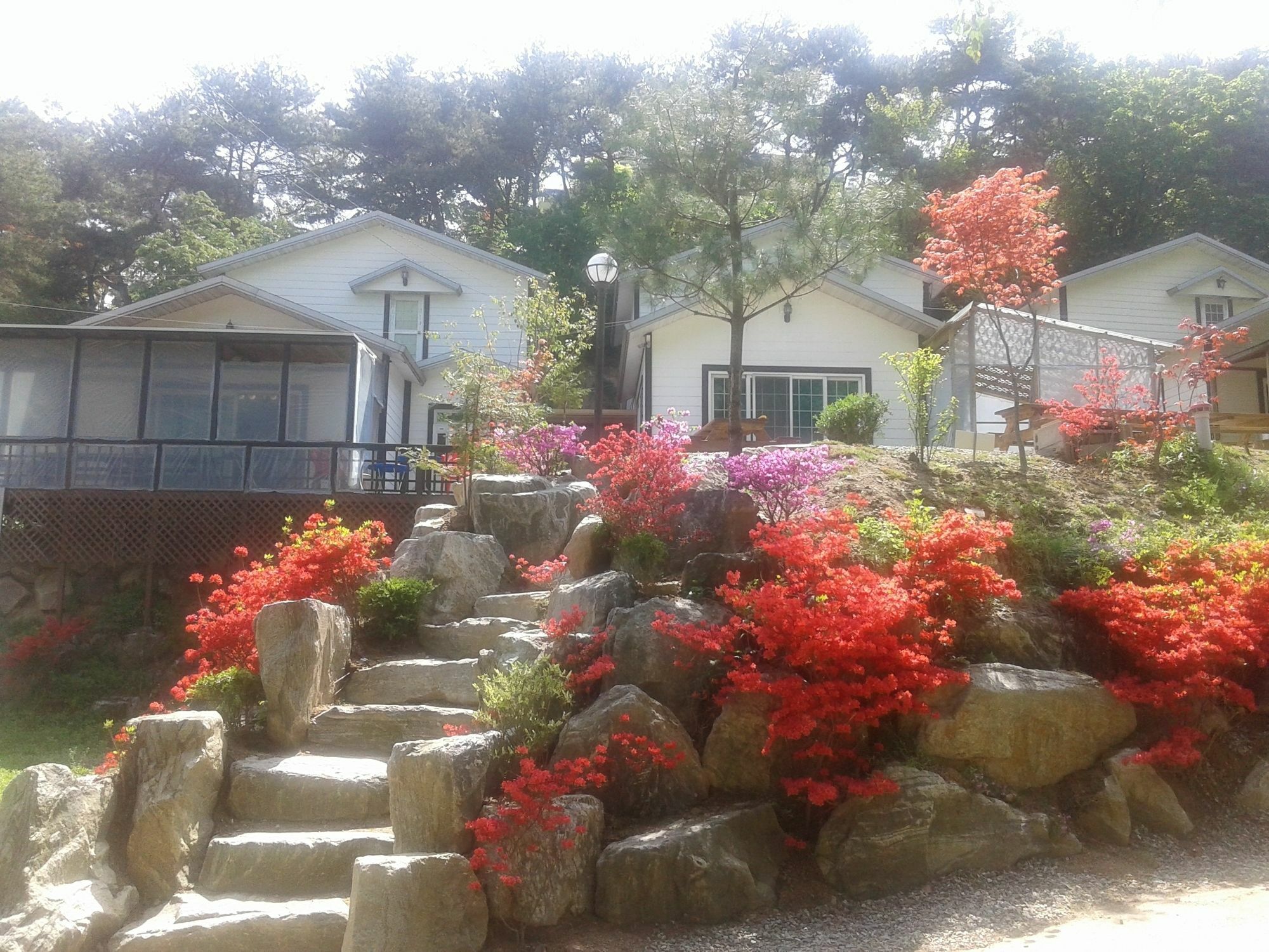Hwangto Green Village Pension Yongin Extérieur photo
